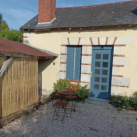 Le Roi Des Chats, Gite Proche De Beauval Et Des Chateaux Mareuil-sur-Cher Exterior foto