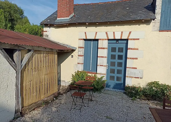 Le Roi Des Chats, Gite Proche De Beauval Et Des Chateaux