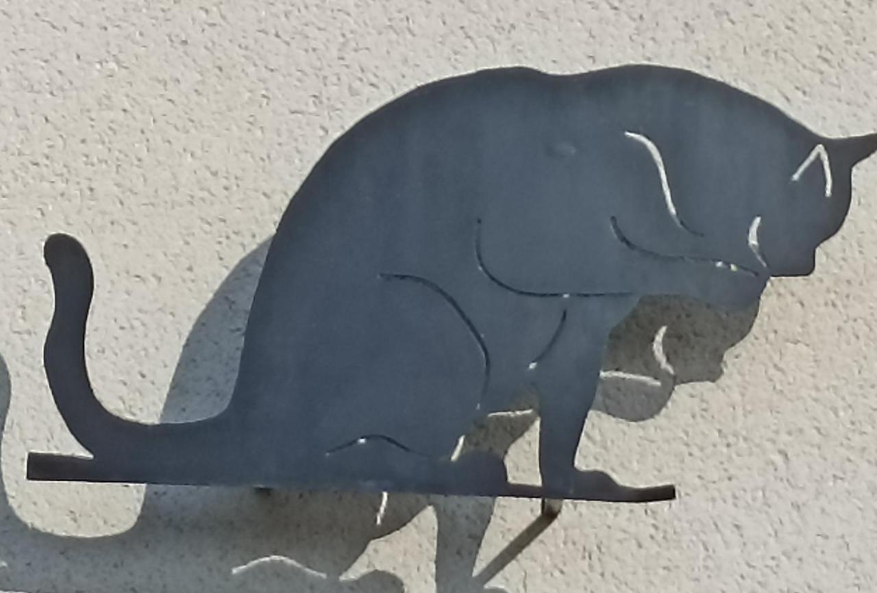 Le Roi Des Chats, Proche De Beauval Et Des Chateaux * Mareuil-sur-Cher